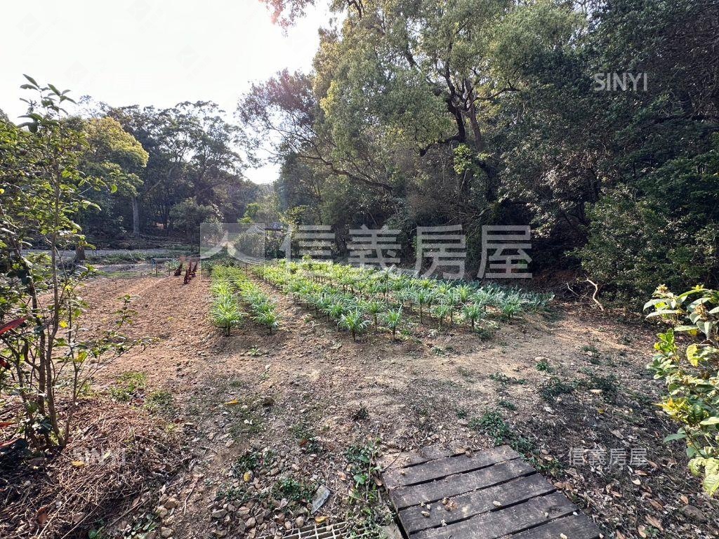 三義台一線車水馬龍大角地房屋室內格局與周邊環境