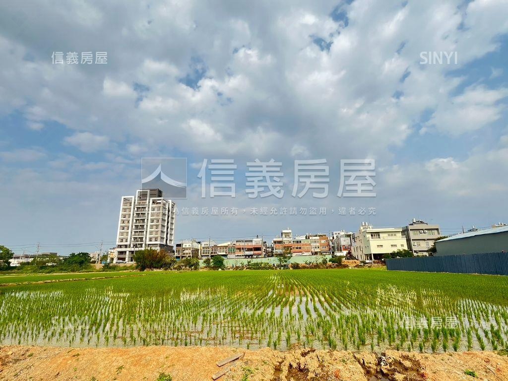 大園美農地房屋室內格局與周邊環境