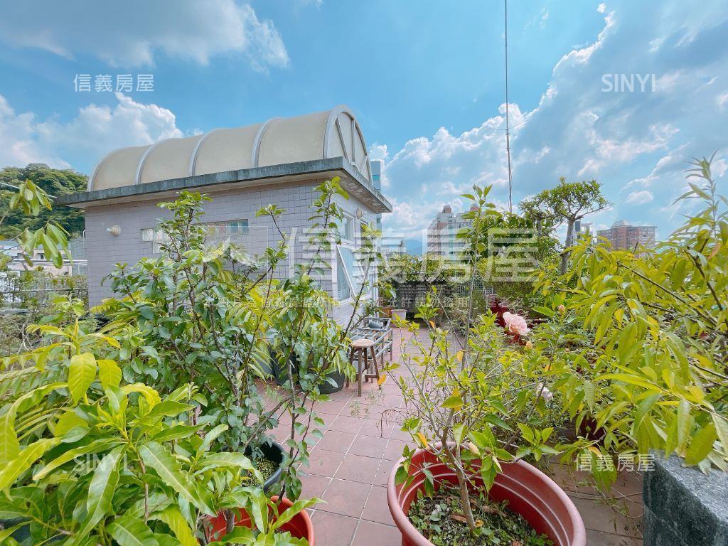 區公所魔術三代同堂大空間房屋室內格局與周邊環境