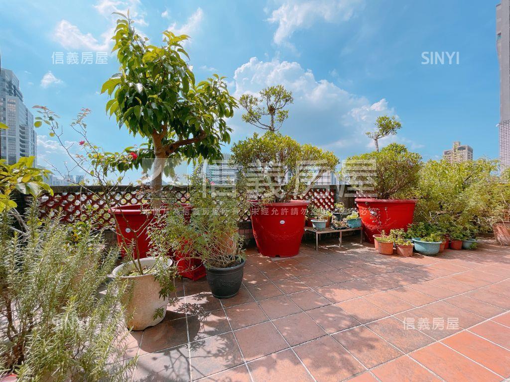 區公所魔術三代同堂大空間房屋室內格局與周邊環境