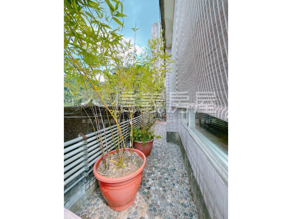 區公所魔術三代同堂大空間房屋室內格局與周邊環境