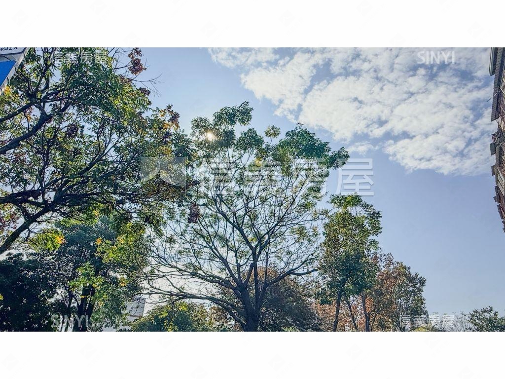 誠售！中國醫套房樹梢低總房屋室內格局與周邊環境