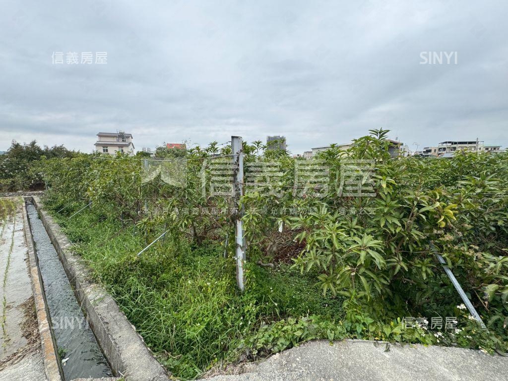 ＳＳＳ草屯北投堡美農地房屋室內格局與周邊環境
