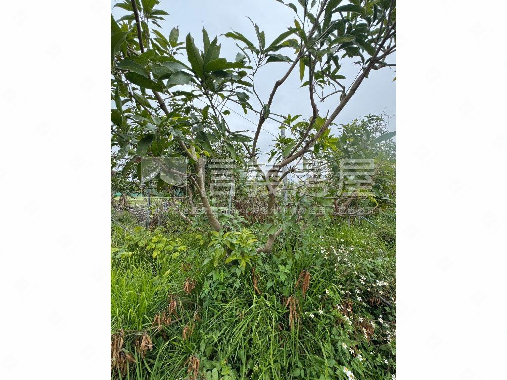 ＳＳＳ草屯北投堡美農地房屋室內格局與周邊環境