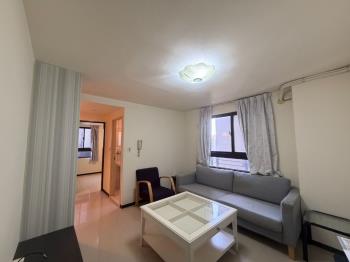 西區震後屋閣上科博附車位