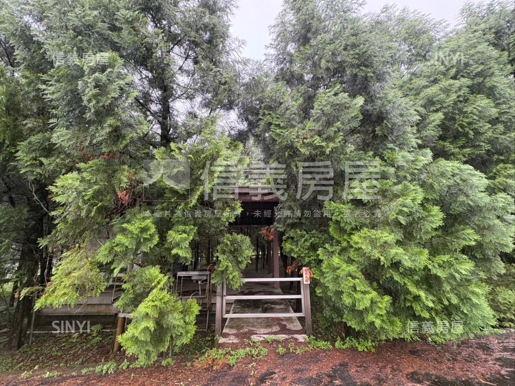 員山方正土地種肖楠房屋室內格局與周邊環境