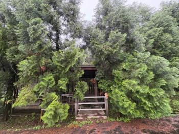 員山方正土地種肖楠