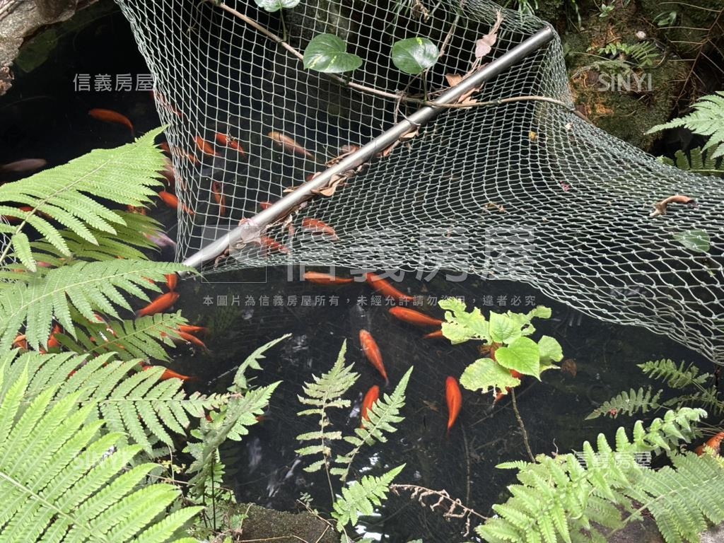 北投溫泉清幽庭院一樓房屋室內格局與周邊環境
