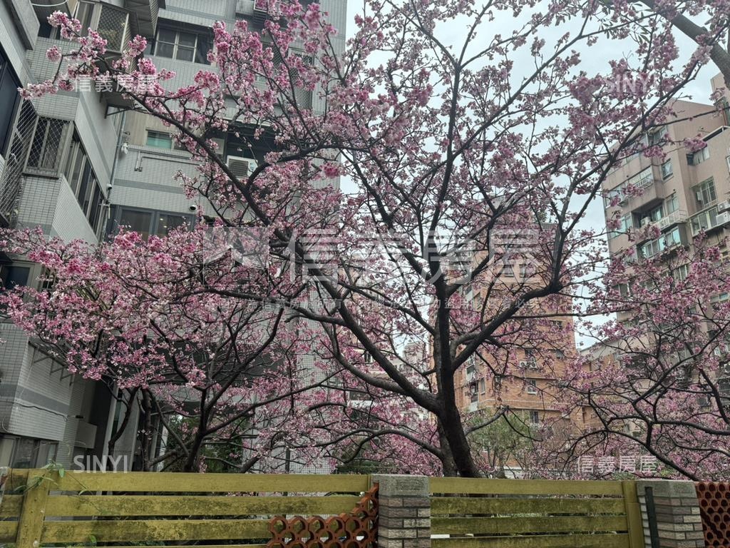 皇普河畔煥新小豪宅房屋室內格局與周邊環境