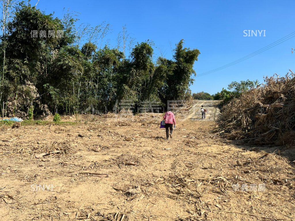 嘉誠國小金元寶地房屋室內格局與周邊環境