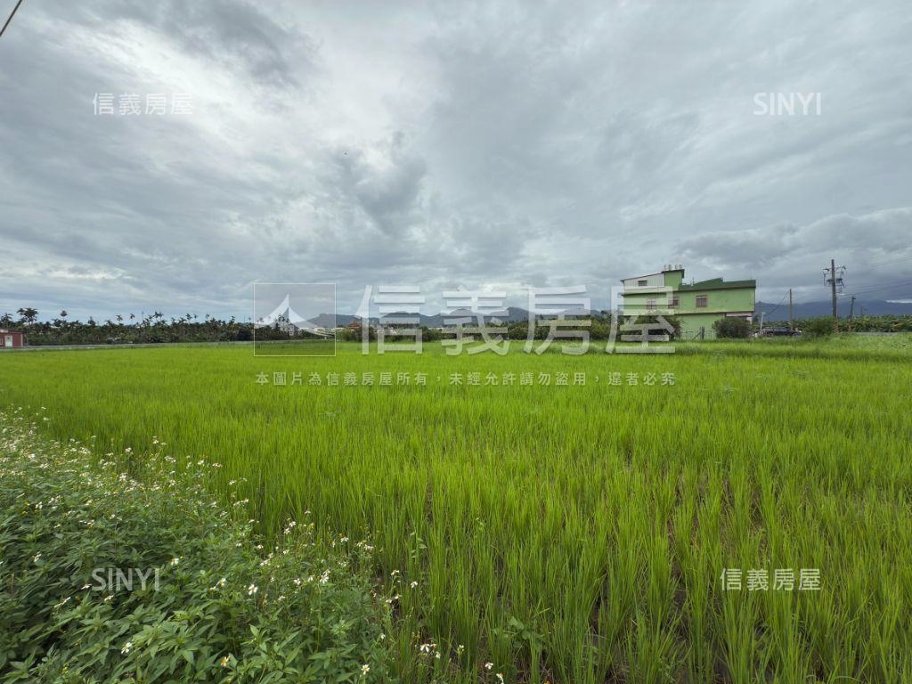 美濃清水段樂活農地房屋室內格局與周邊環境