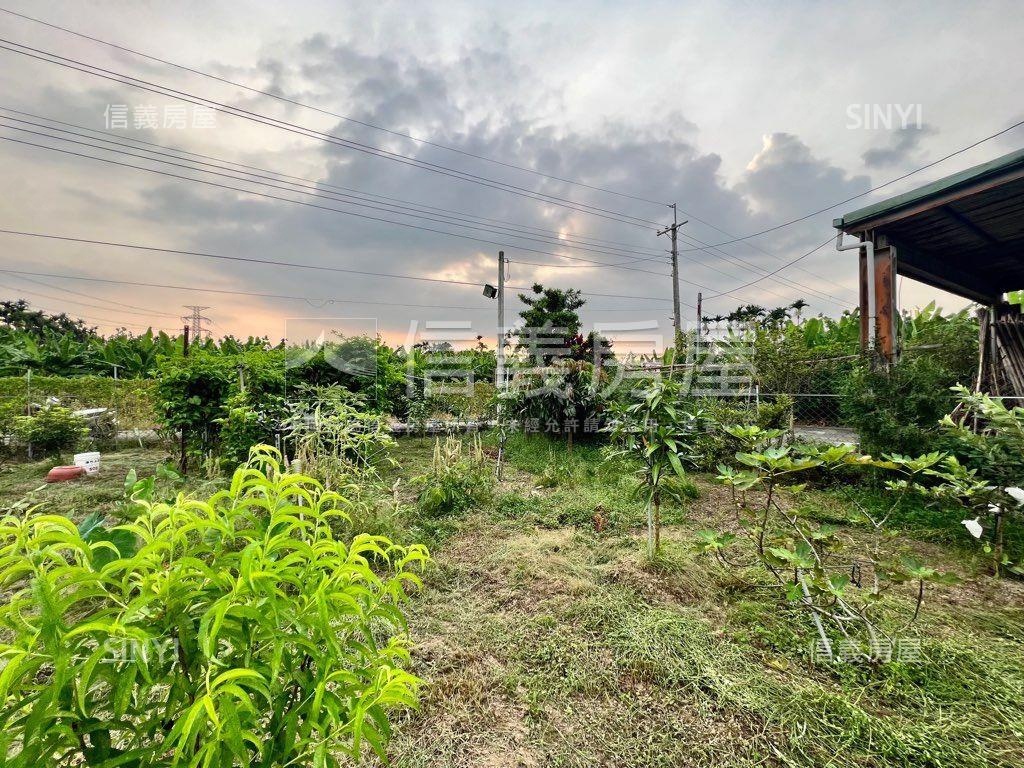 南投有水有電農地房屋室內格局與周邊環境