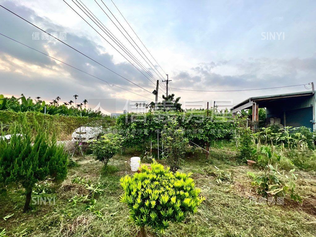 南投有水有電農地房屋室內格局與周邊環境