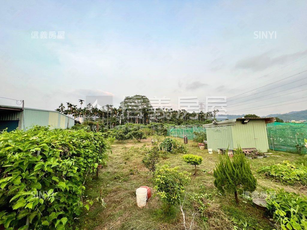 南投有水有電農地房屋室內格局與周邊環境