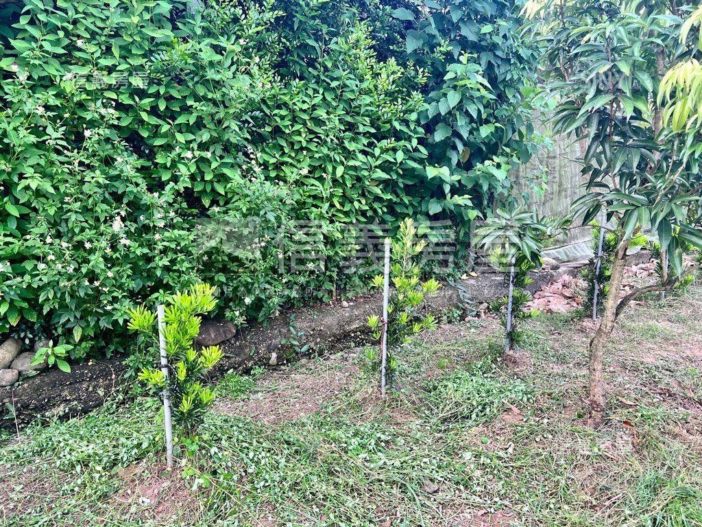 南投有水有電農地房屋室內格局與周邊環境