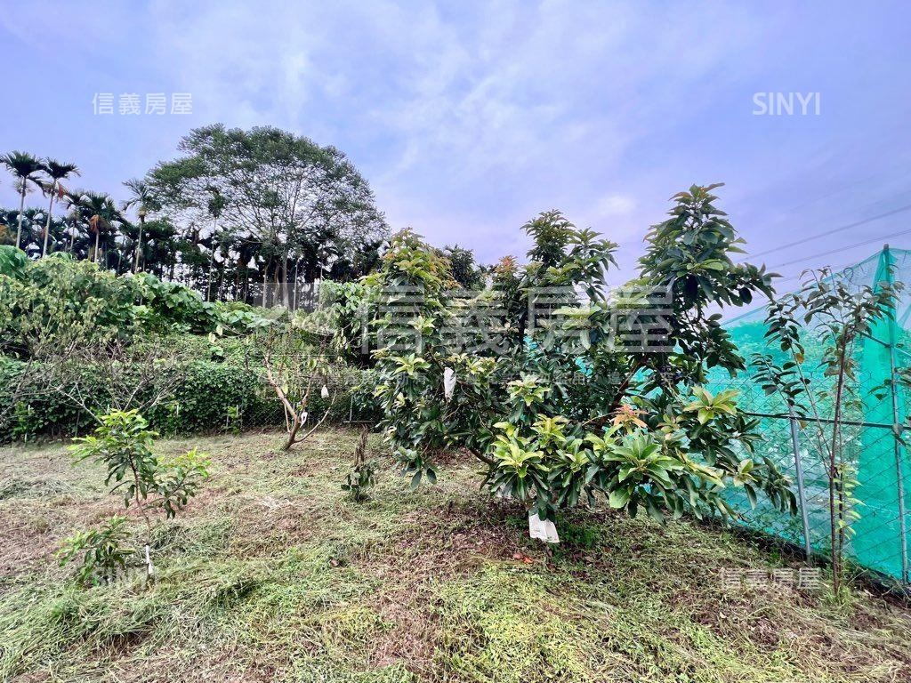 南投有水有電農地房屋室內格局與周邊環境