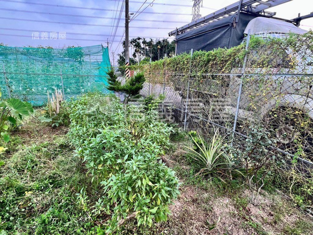 南投有水有電農地房屋室內格局與周邊環境