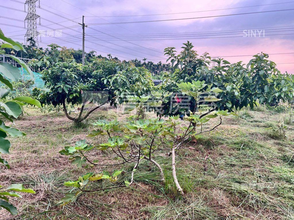 南投有水有電農地房屋室內格局與周邊環境