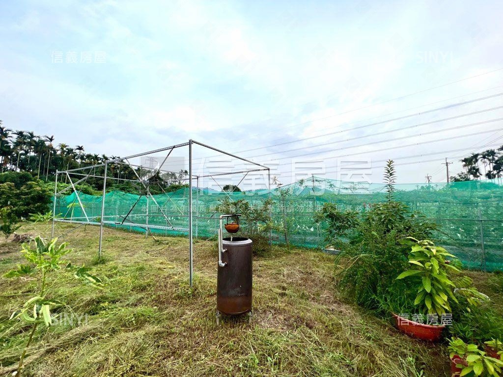 南投有水有電農地房屋室內格局與周邊環境