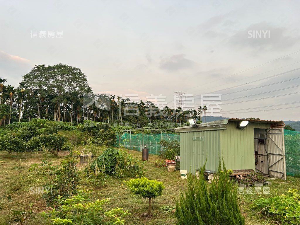 南投有水有電農地房屋室內格局與周邊環境
