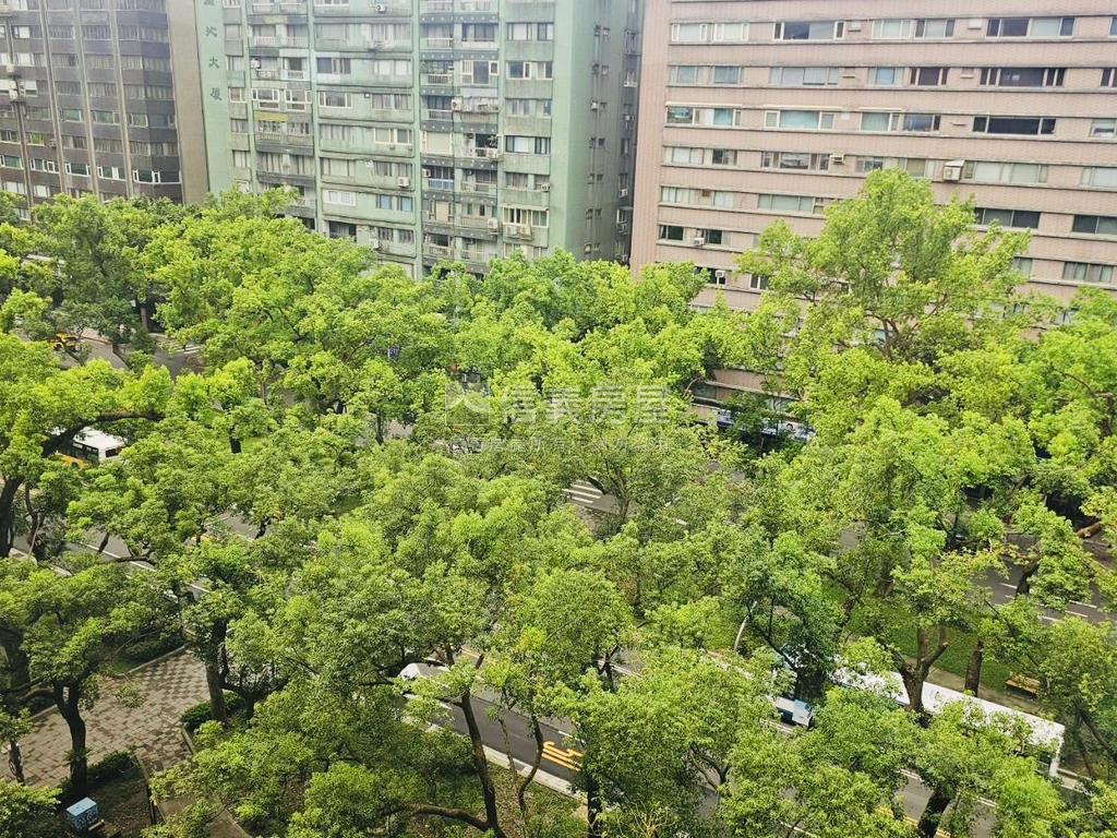 敦化雙星★前棟林蔭房屋室內格局與周邊環境