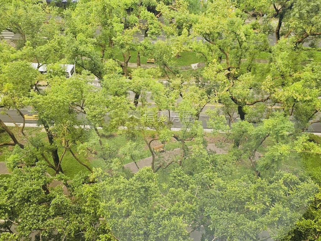 敦化雙星★前棟林蔭房屋室內格局與周邊環境