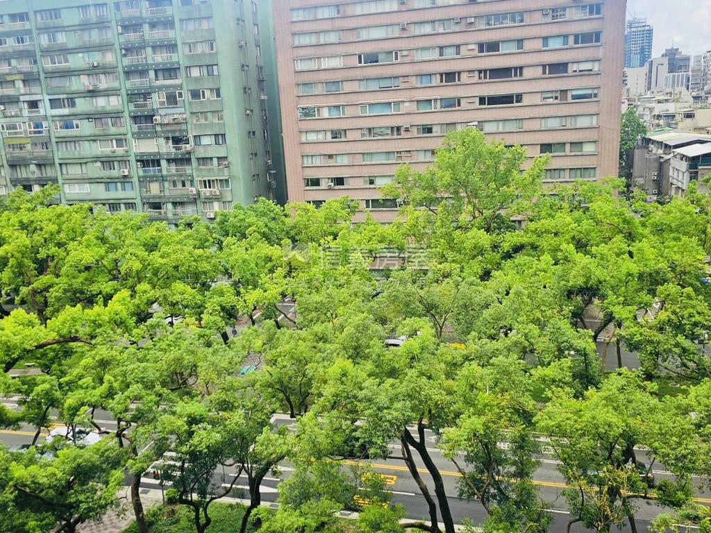 敦化雙星★前棟林蔭房屋室內格局與周邊環境