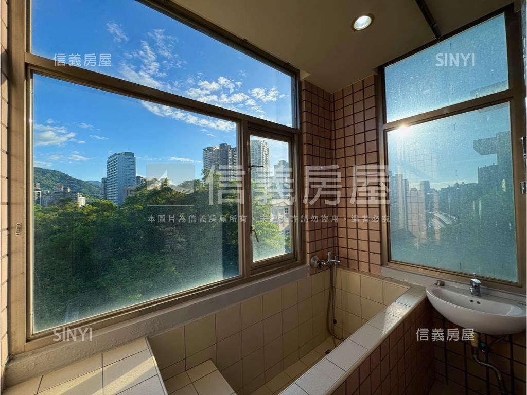 新光河山採光裝潢屋房屋室內格局與周邊環境