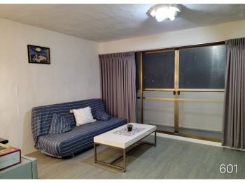 蘆洲信義路聚寶盆