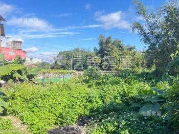 安豐段近捷運土地