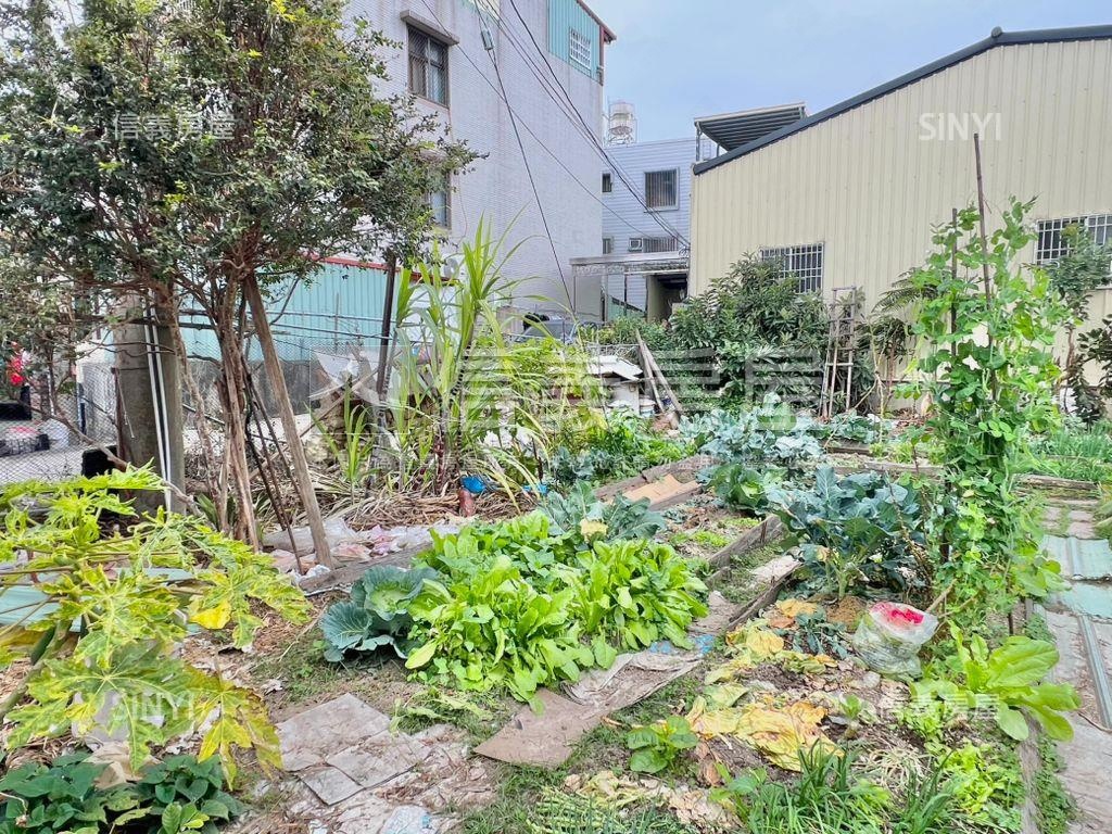 草屯土地稀有釋出房屋室內格局與周邊環境