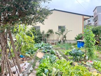 草屯土地稀有釋出