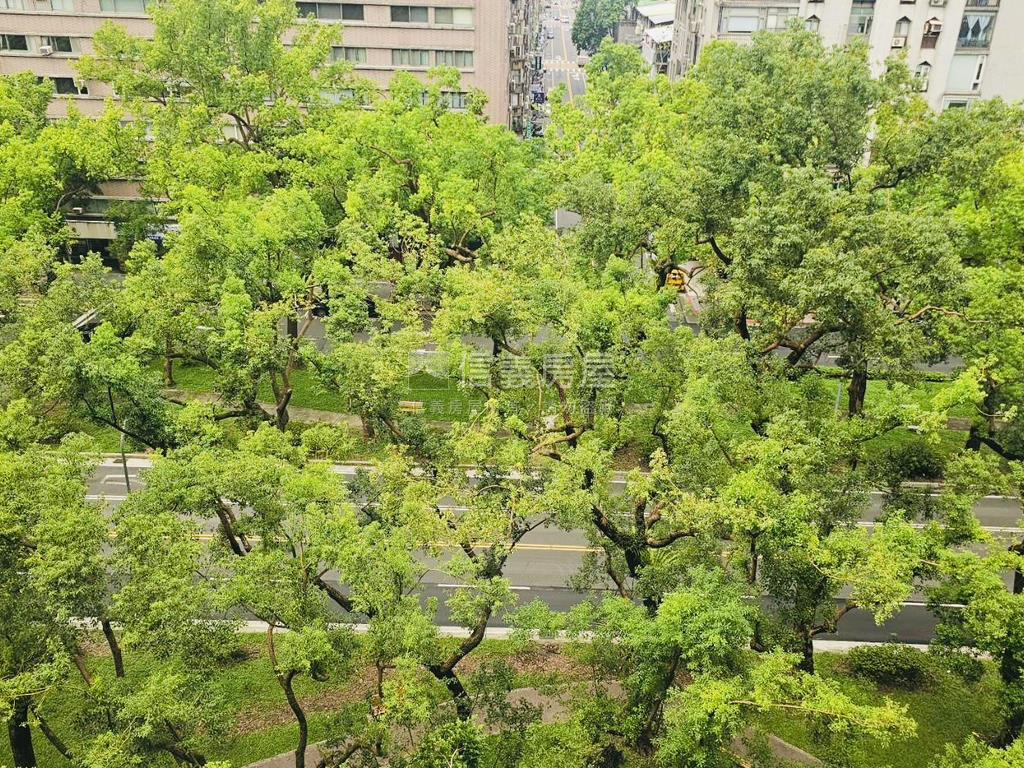 敦化雙星★林蔭附車位房屋室內格局與周邊環境