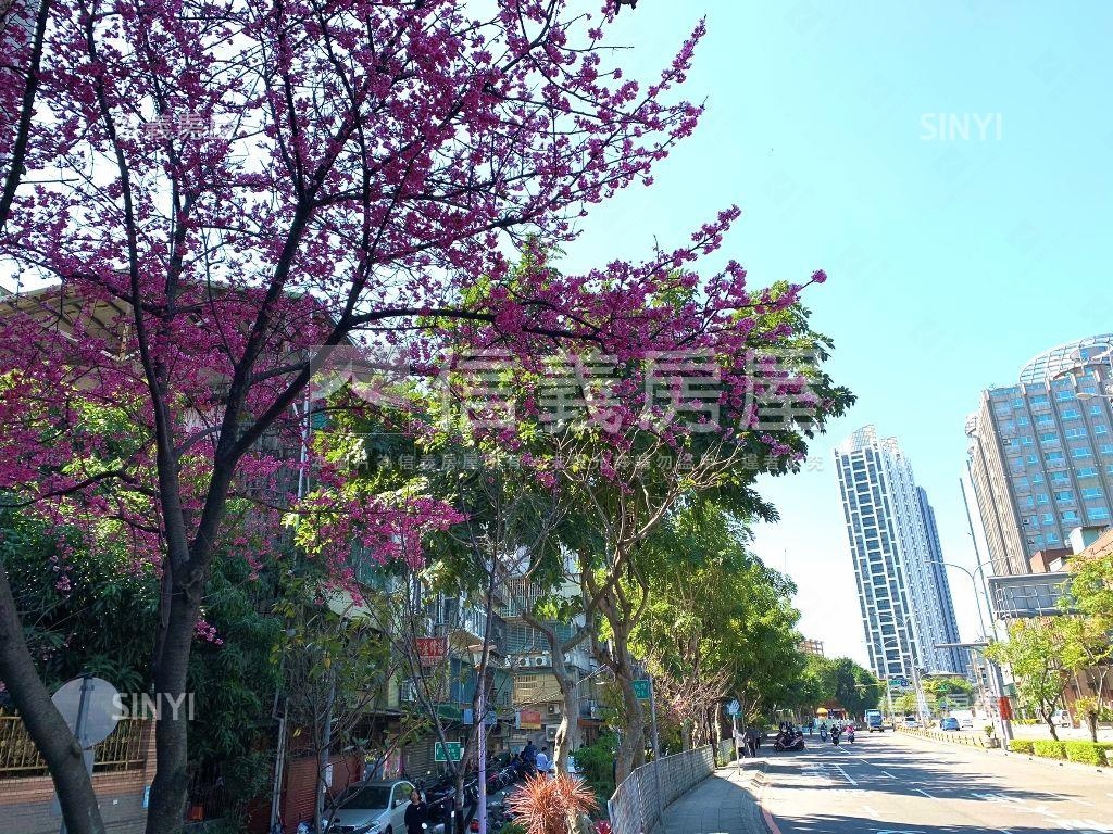 萬板樹海美寓房屋室內格局與周邊環境