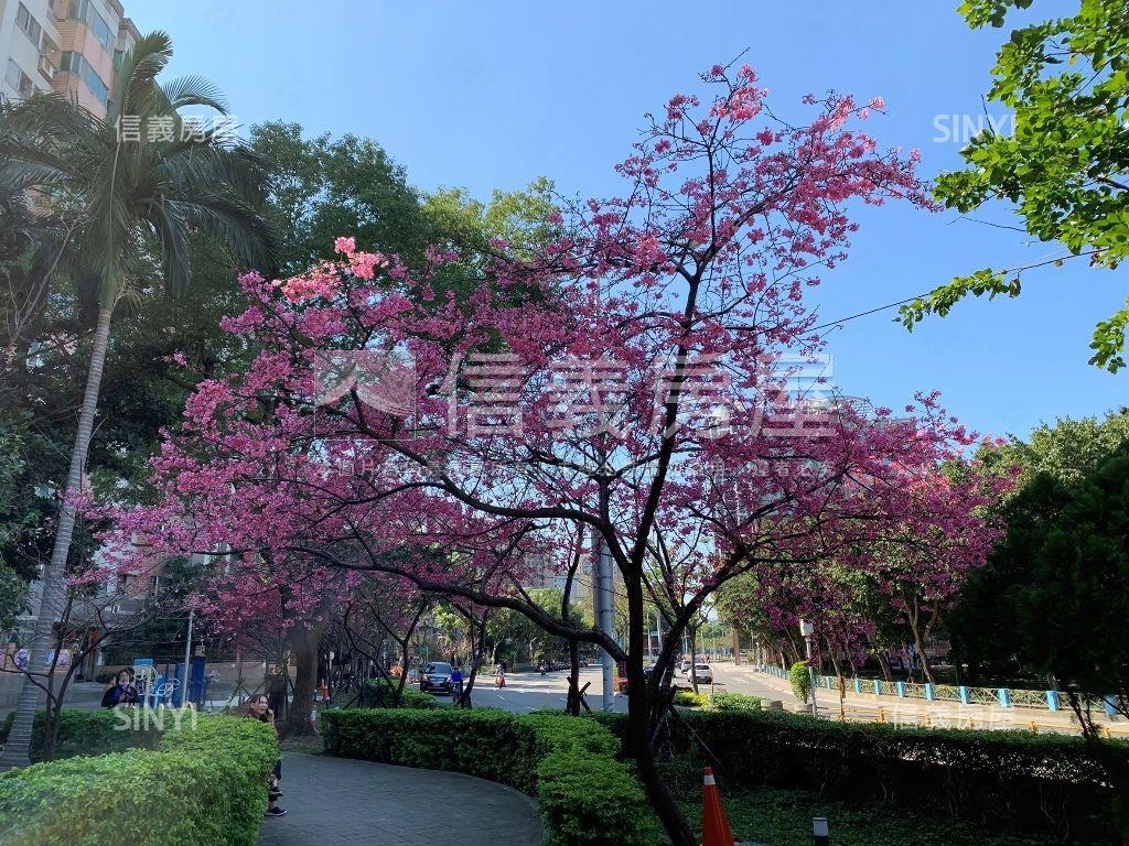 萬板樹海美寓房屋室內格局與周邊環境