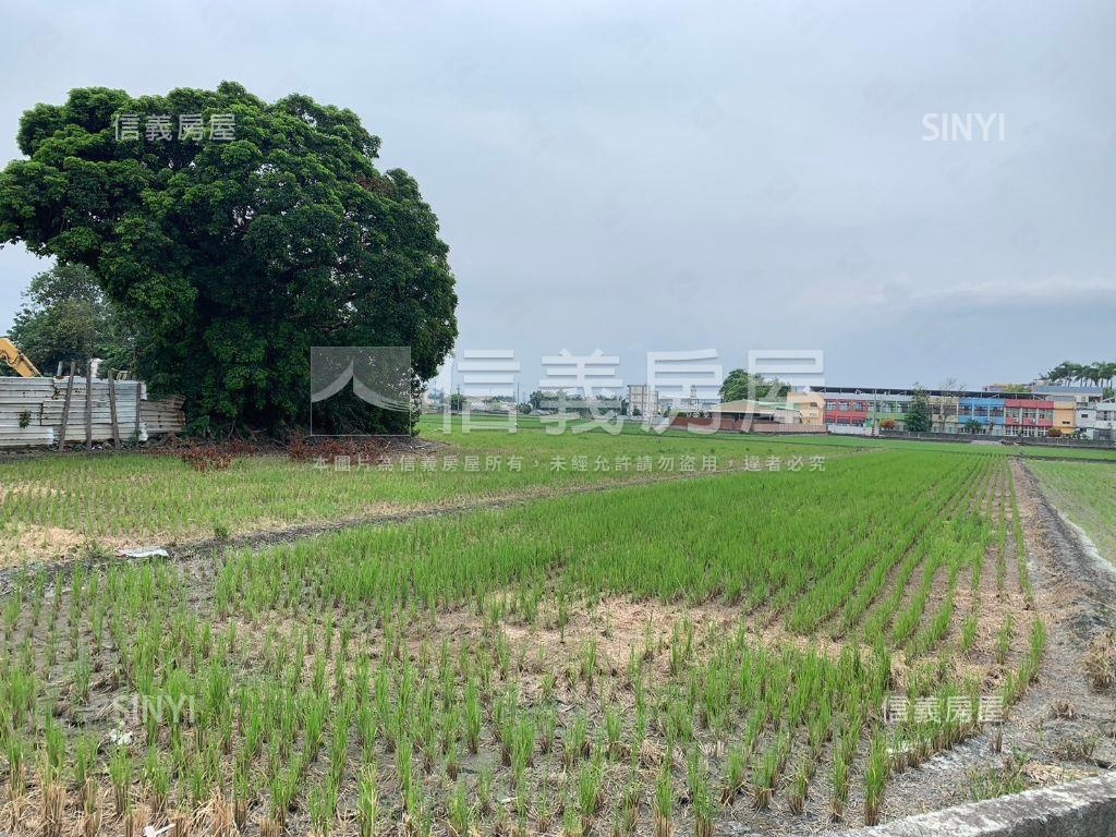 獨家秀水鄉村金農地房屋室內格局與周邊環境