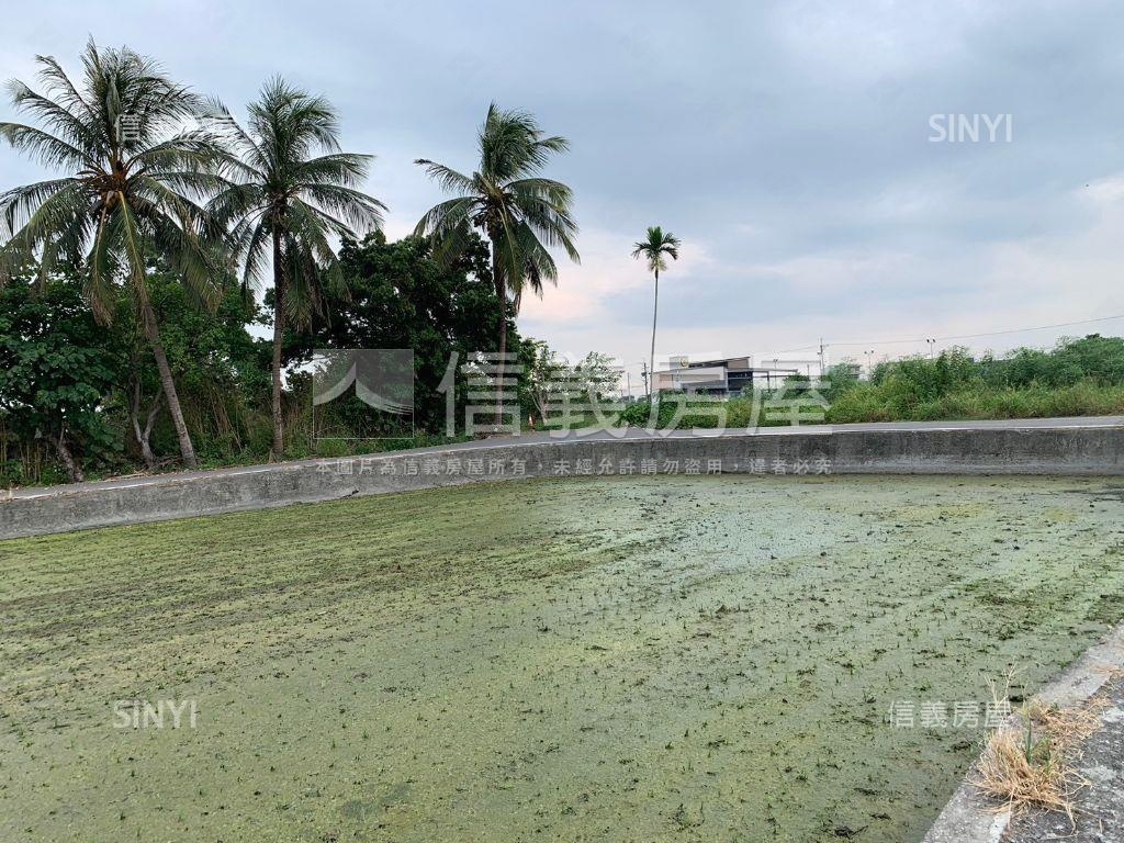 獨家秀水鄉村金農地房屋室內格局與周邊環境