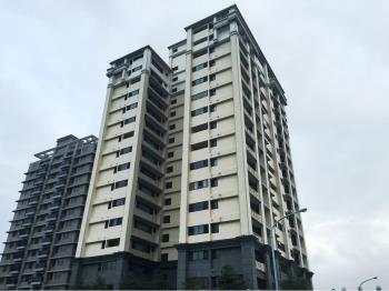 綠活書香紫蝶美家