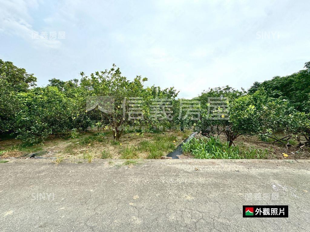 麻善段千坪開心農地房屋室內格局與周邊環境