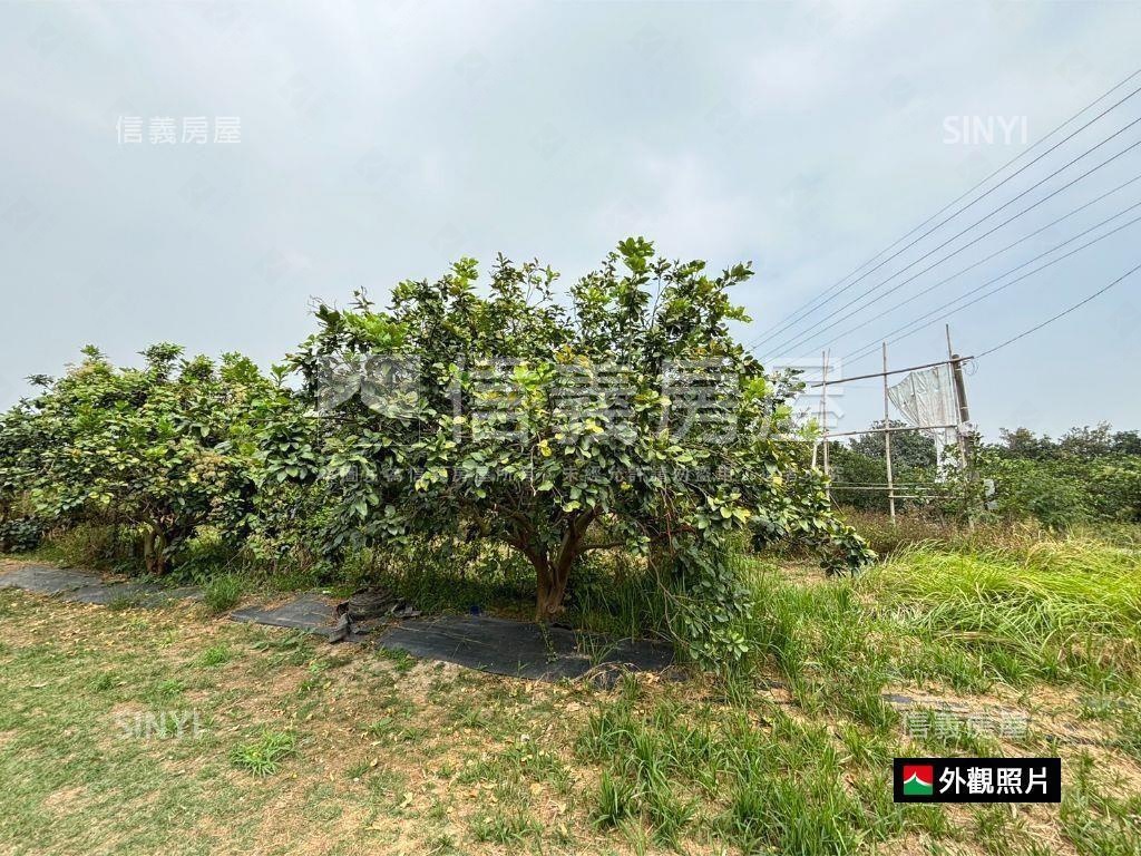 麻善段千坪開心農地房屋室內格局與周邊環境