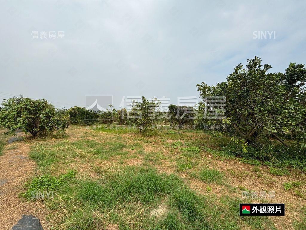 麻善段千坪開心農地房屋室內格局與周邊環境