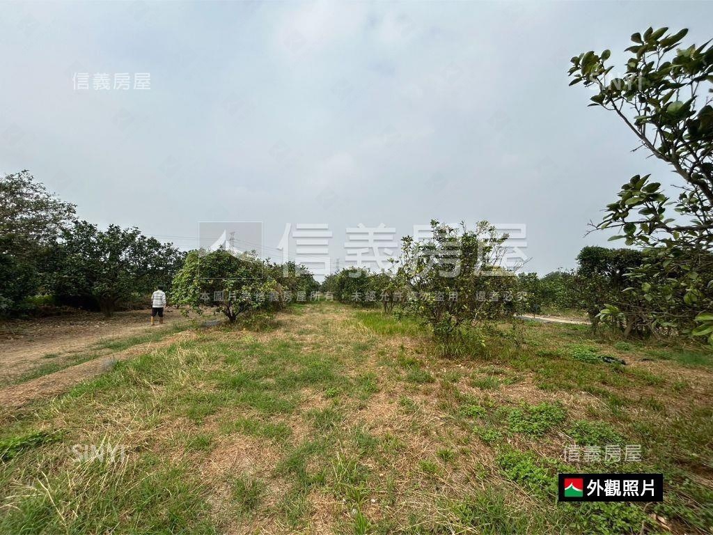 麻善段千坪開心農地房屋室內格局與周邊環境