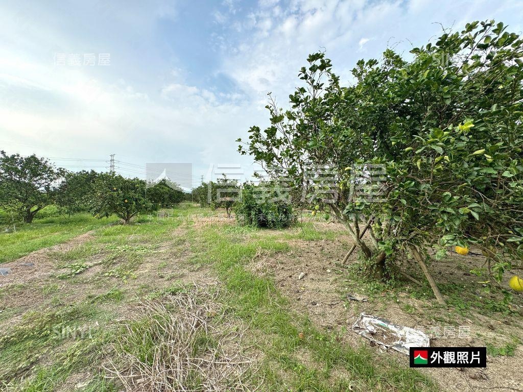 麻善段千坪開心農地房屋室內格局與周邊環境
