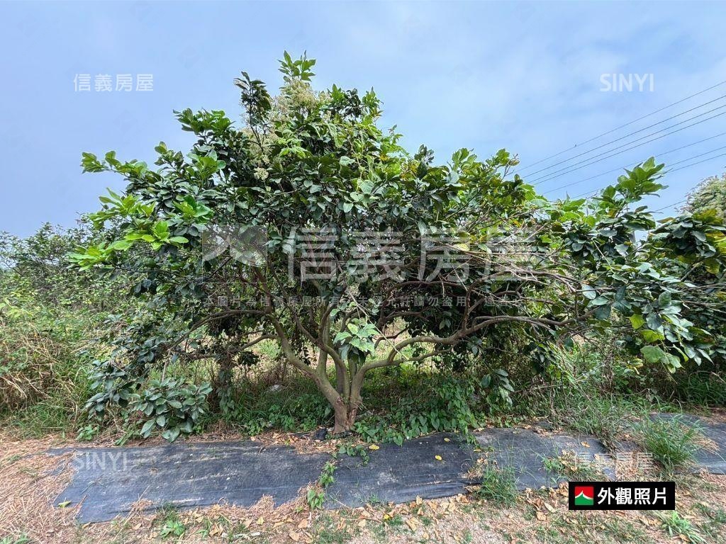 麻善段千坪開心農地房屋室內格局與周邊環境