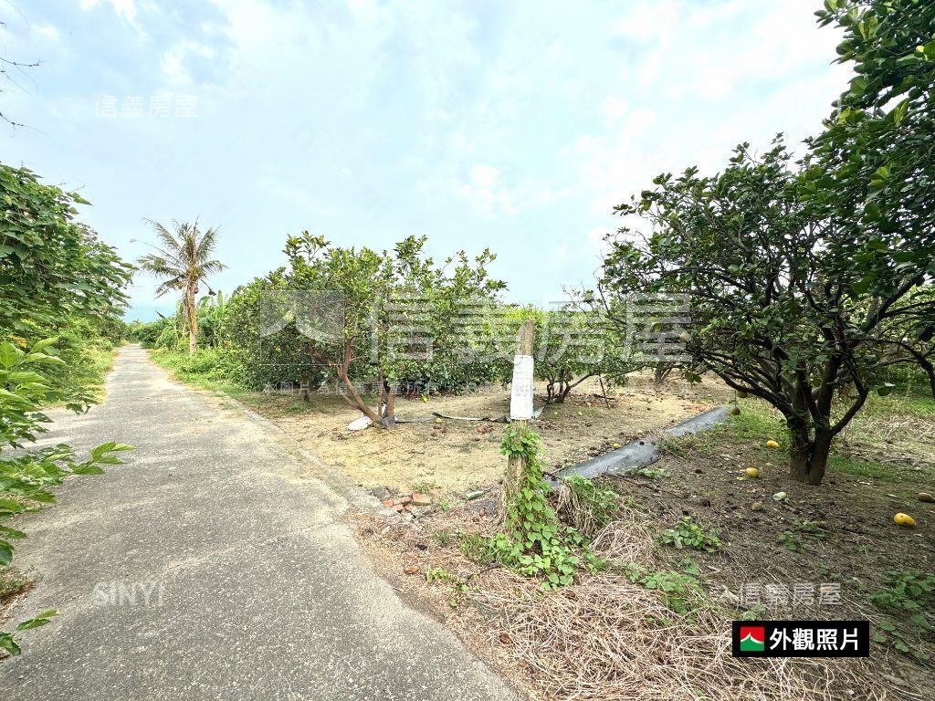 麻善段千坪開心農地房屋室內格局與周邊環境