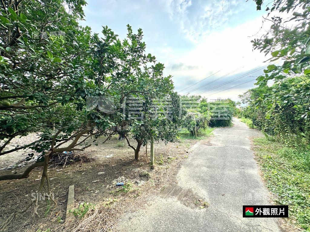 麻善段千坪開心農地房屋室內格局與周邊環境