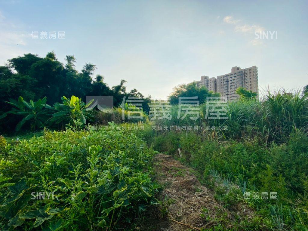 天生段重劃土地四房屋室內格局與周邊環境