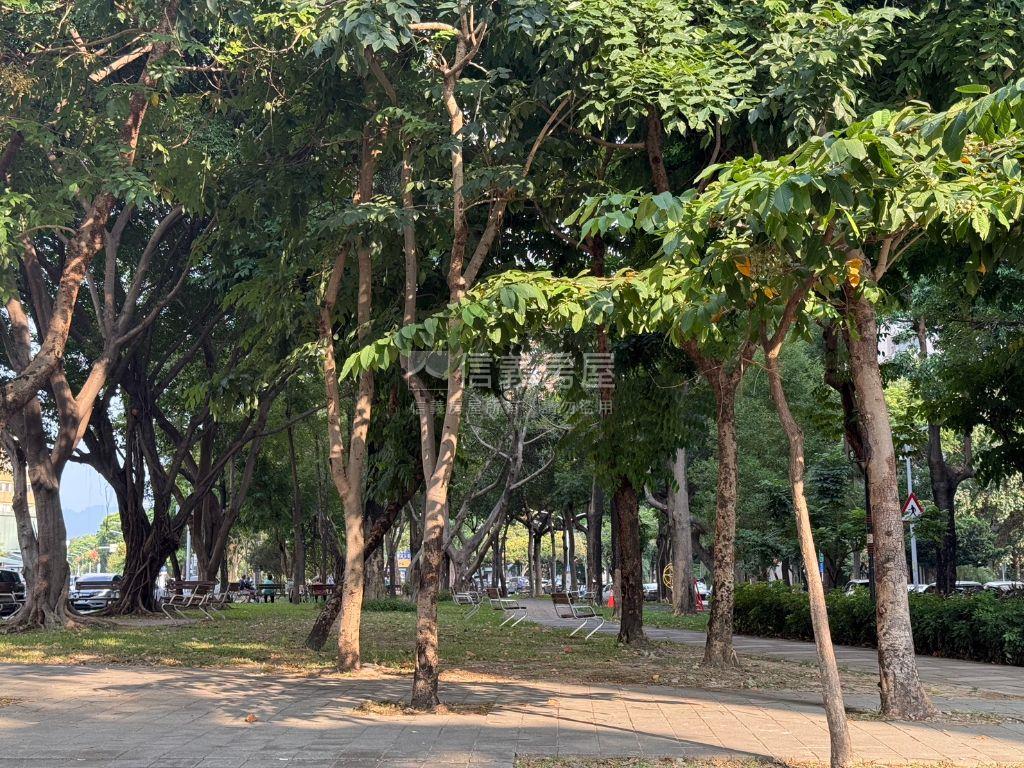 房屋照片