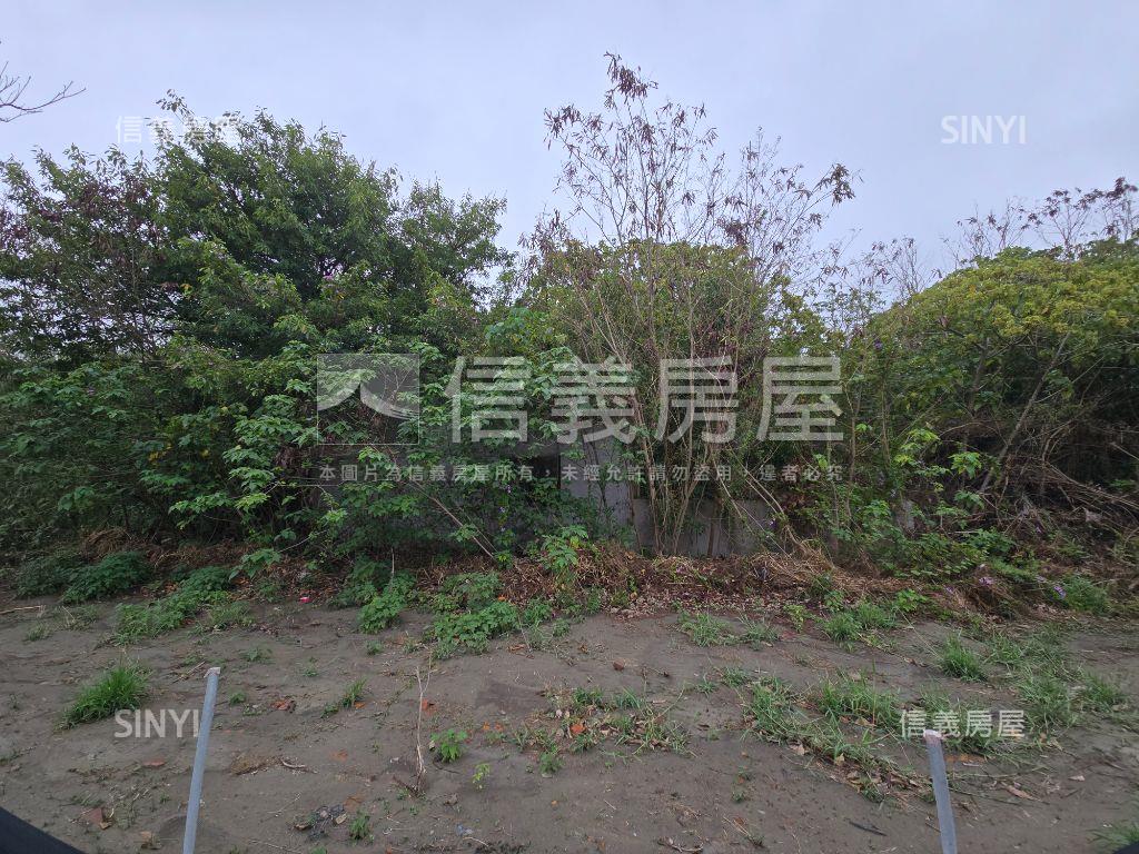 雲林台西光華段乙建與農地房屋室內格局與周邊環境