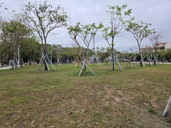 雲林台西光華段乙建與農地